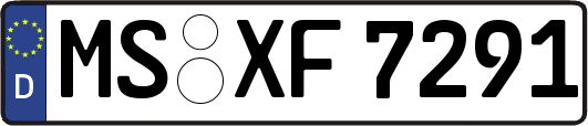 MS-XF7291