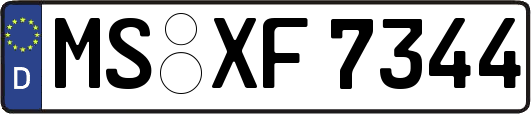 MS-XF7344