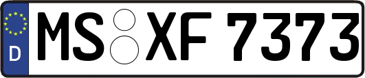 MS-XF7373