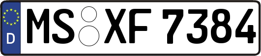 MS-XF7384