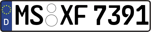 MS-XF7391