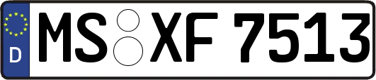 MS-XF7513