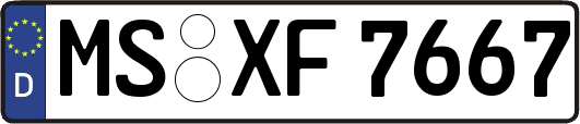 MS-XF7667