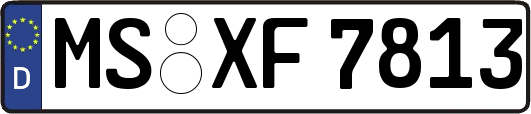 MS-XF7813