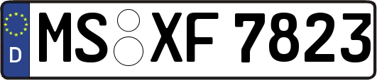 MS-XF7823