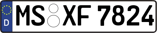 MS-XF7824