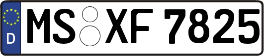 MS-XF7825
