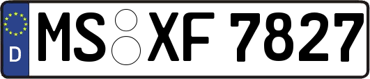 MS-XF7827
