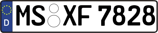MS-XF7828