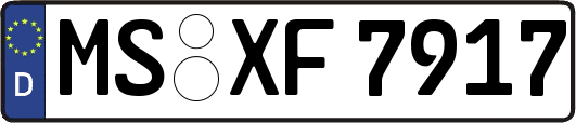 MS-XF7917