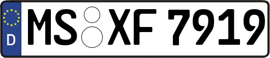 MS-XF7919