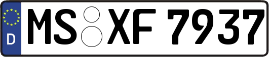 MS-XF7937