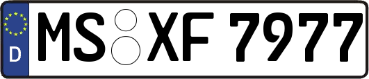 MS-XF7977