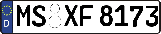 MS-XF8173