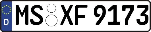 MS-XF9173