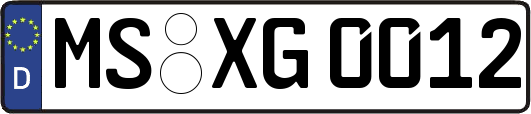 MS-XG0012