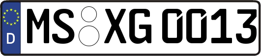 MS-XG0013