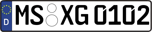MS-XG0102