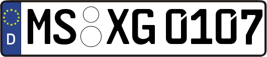 MS-XG0107