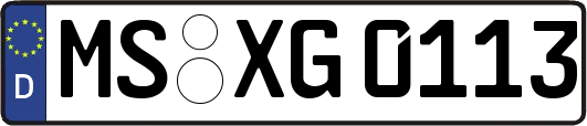 MS-XG0113