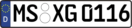 MS-XG0116