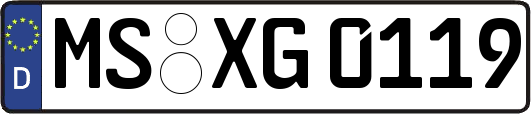 MS-XG0119