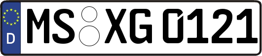 MS-XG0121