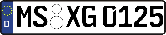 MS-XG0125