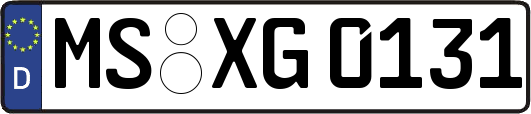 MS-XG0131