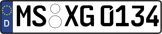 MS-XG0134