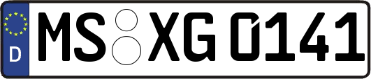 MS-XG0141