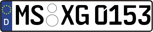 MS-XG0153
