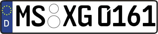MS-XG0161