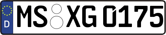 MS-XG0175