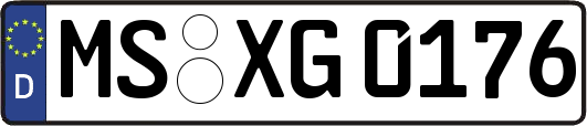 MS-XG0176