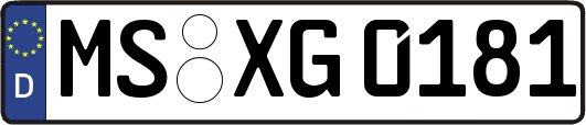 MS-XG0181