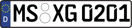 MS-XG0201