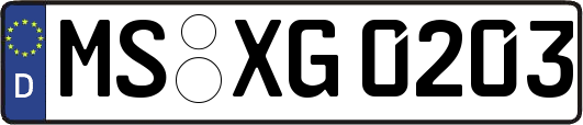 MS-XG0203