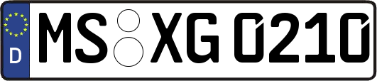 MS-XG0210