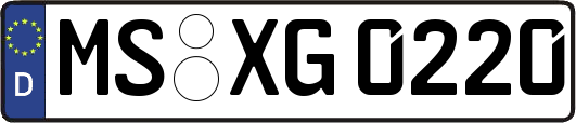 MS-XG0220
