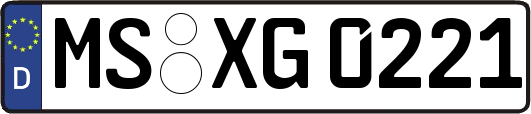 MS-XG0221