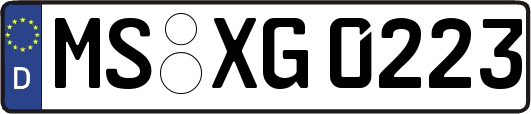 MS-XG0223