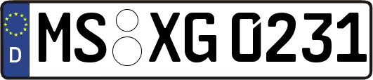 MS-XG0231