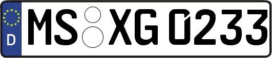 MS-XG0233