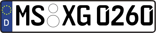 MS-XG0260