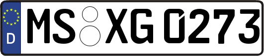 MS-XG0273