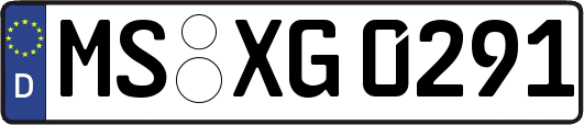 MS-XG0291