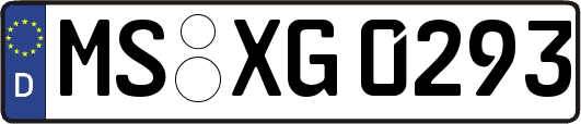 MS-XG0293
