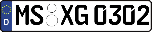 MS-XG0302