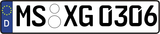 MS-XG0306